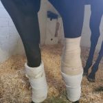 Equine Medical Center