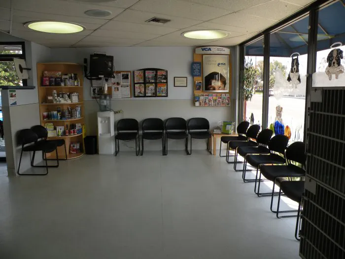 VCA College Park - Ana Brook Animal Hospital Picture 2