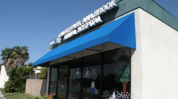 VCA College Park - Ana Brook Animal Hospital Picture 3