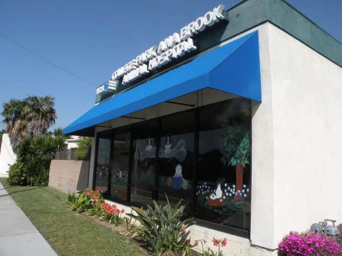 VCA College Park - Ana Brook Animal Hospital Picture 1