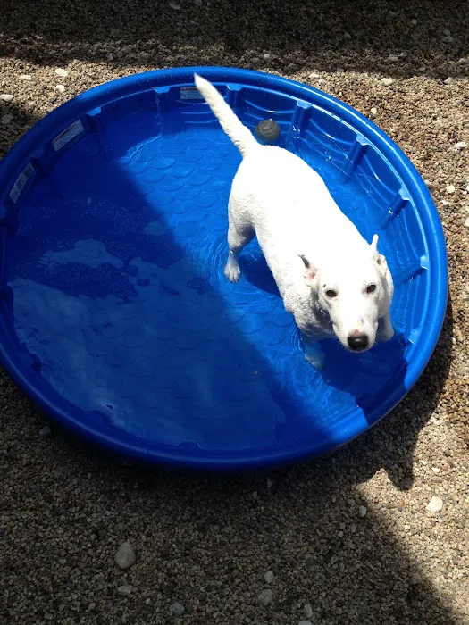VCA College Park - Ana Brook Animal Hospital Picture 9