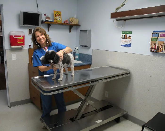 VCA College Park - Ana Brook Animal Hospital Picture 7