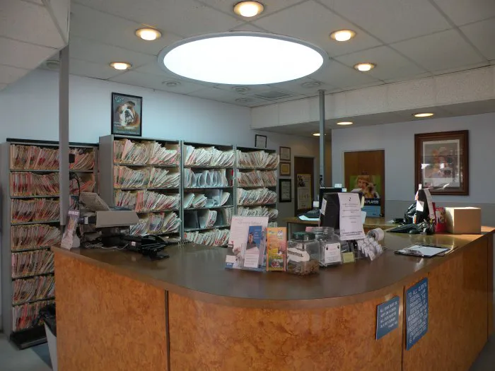 VCA College Park - Ana Brook Animal Hospital Picture 4