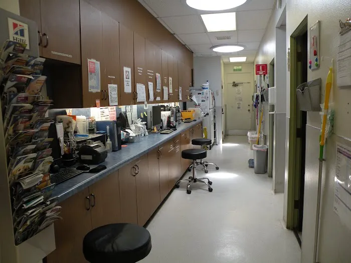 VCA College Park - Ana Brook Animal Hospital Picture 6