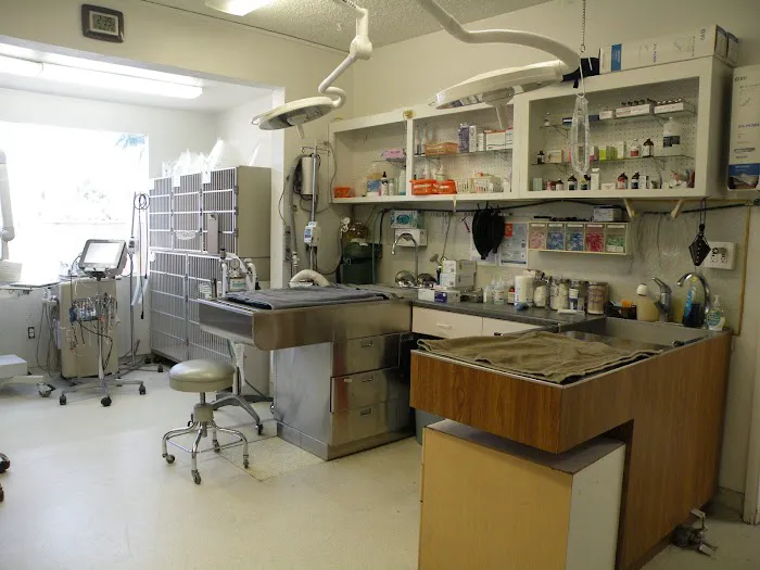 VCA College Park - Ana Brook Animal Hospital Picture 10