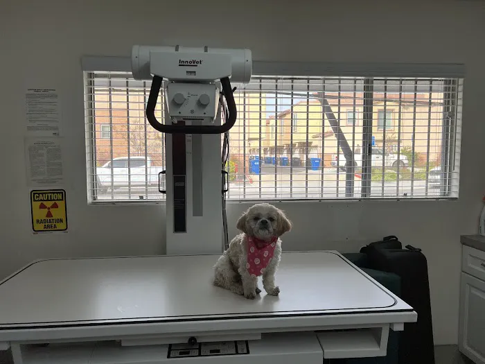 ABC Animal Hospital Picture 4
