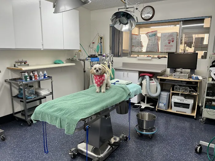 ABC Animal Hospital Picture 7