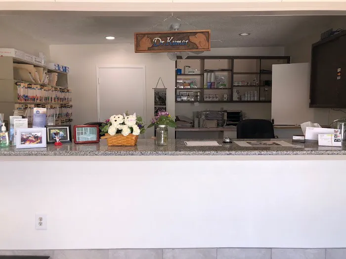 ABC Animal Hospital Picture 3
