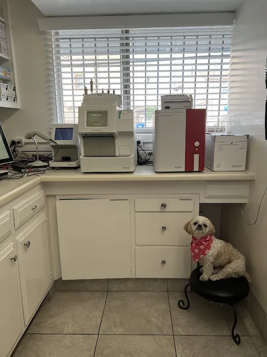ABC Animal Hospital Picture 9