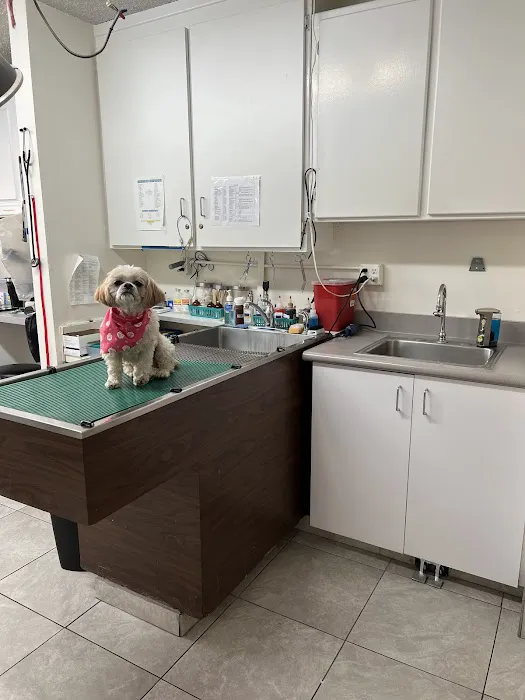 ABC Animal Hospital Picture 1
