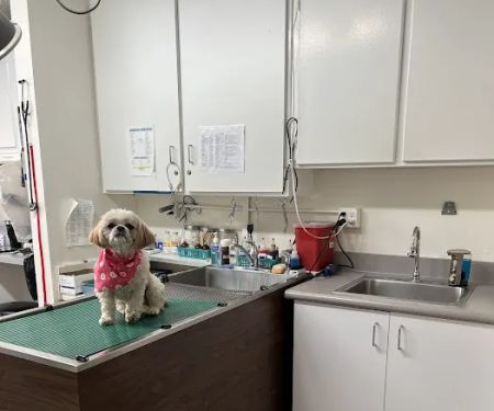 ABC Animal Hospital