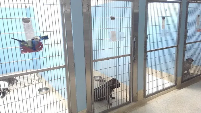 ABC Animal Hospital Picture 6