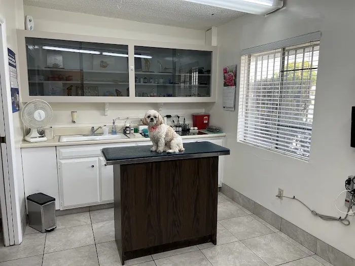 ABC Animal Hospital Picture 8