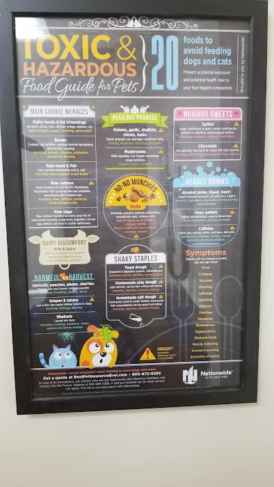 Cypress Dog & Cat Hospital Picture 10