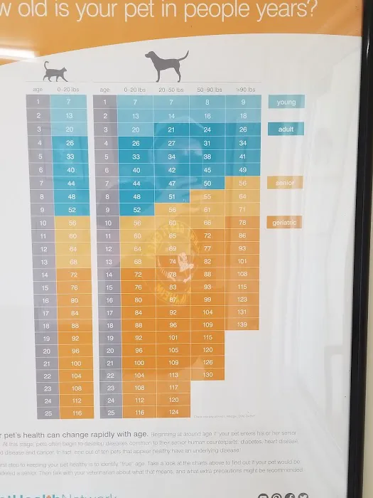 Cypress Dog & Cat Hospital Picture 8