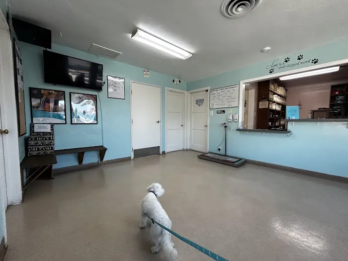 Cypress Dog & Cat Hospital Picture 9