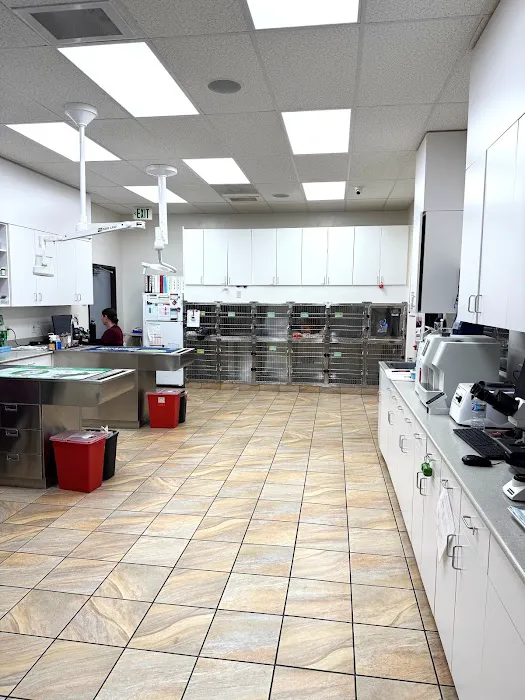 Lincoln Animal Hospital Picture 3