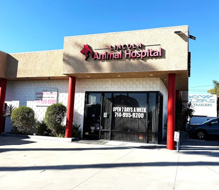Lincoln Animal Hospital Picture 7
