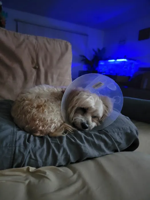 Vetco Total Care Animal Hospital Picture 6