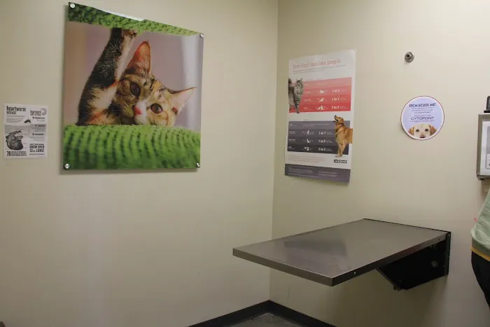 Vetco Total Care Animal Hospital Picture 9