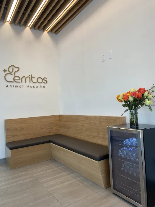 Cerritos Animal hospital Picture 2