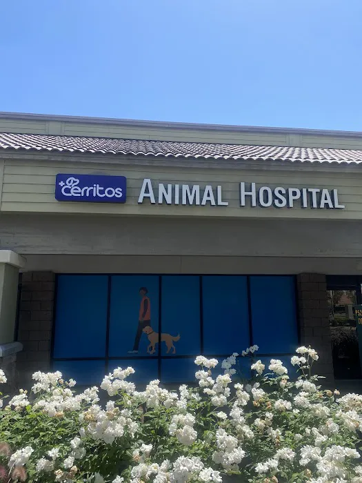 Cerritos Animal hospital Picture 7