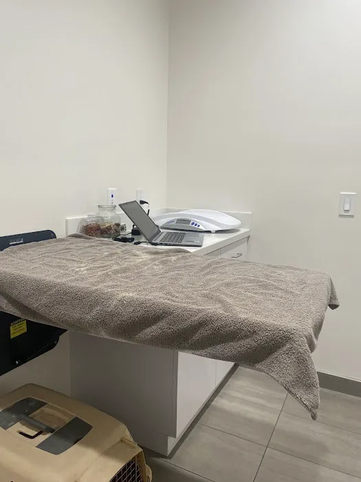 Cerritos Animal hospital Picture 5