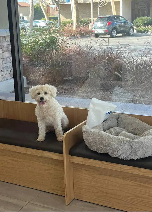 Cerritos Animal hospital Picture 8