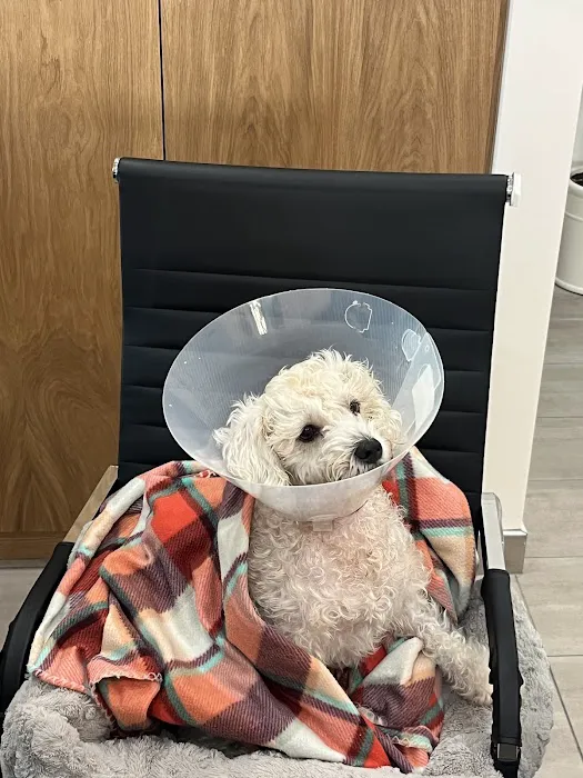 Cerritos Animal hospital Picture 10