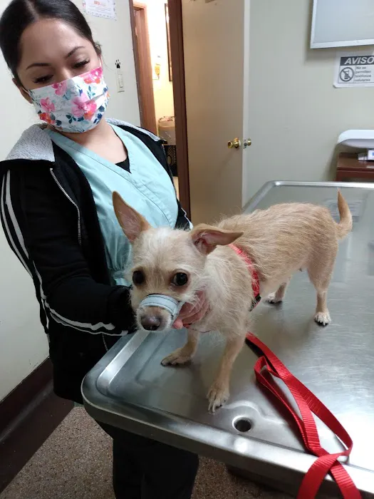 Lynwood Dog and Cat Hospital Picture 2