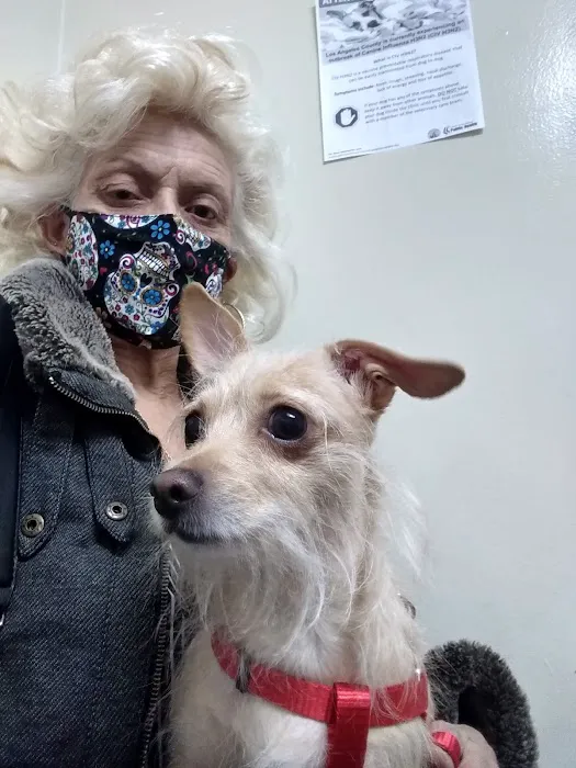 Lynwood Dog and Cat Hospital Picture 5