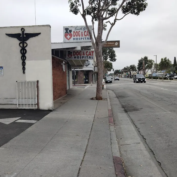 South Gate Dog - Cat Hospital Picture 10