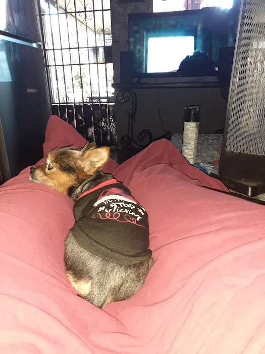 California Veterinary Hospital Picture 8