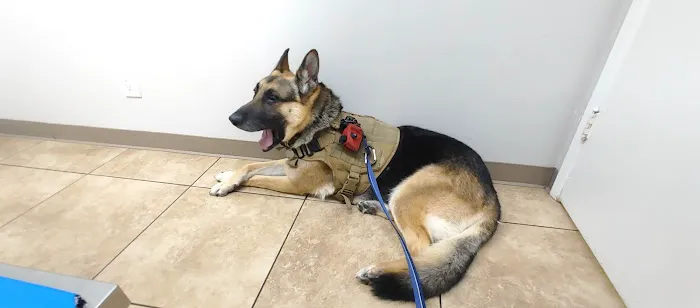 California Veterinary Hospital Picture 5