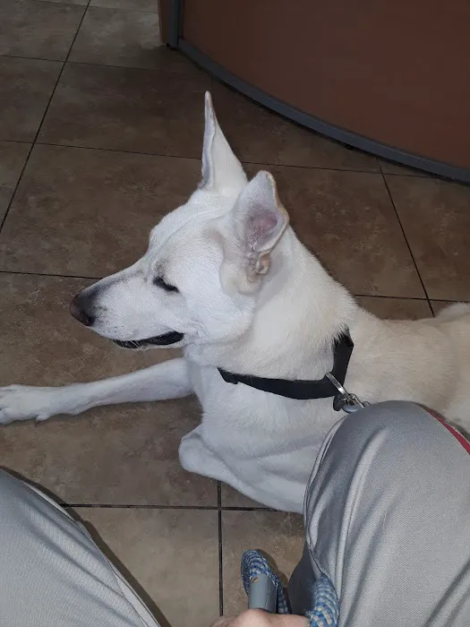 California Veterinary Hospital Picture 4