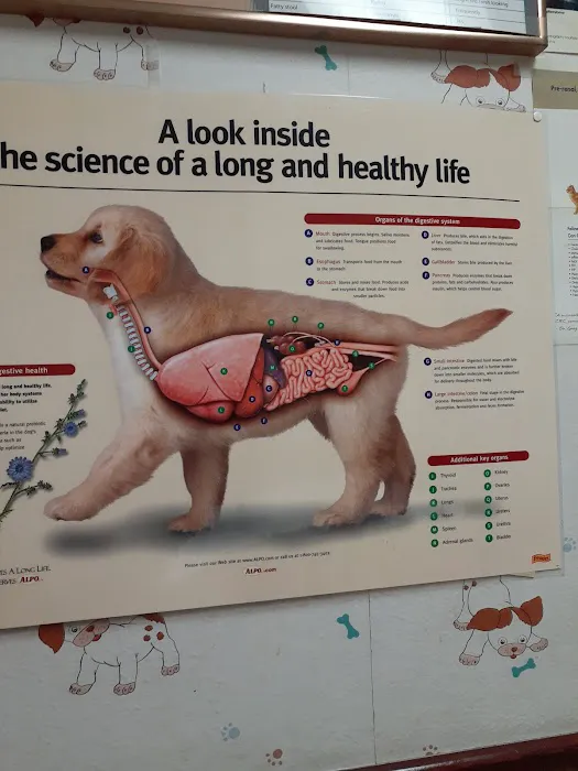 Walker Street Dog & Cat Hospital Picture 1
