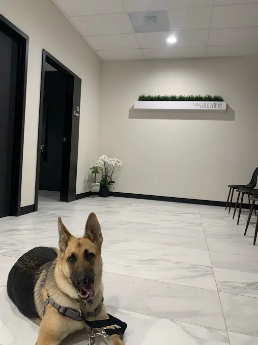 Valley View Animal Hospital Picture 6