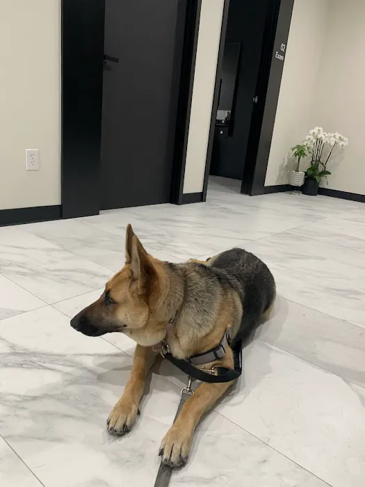Valley View Animal Hospital Picture 7