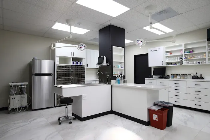 Valley View Animal Hospital Picture 2