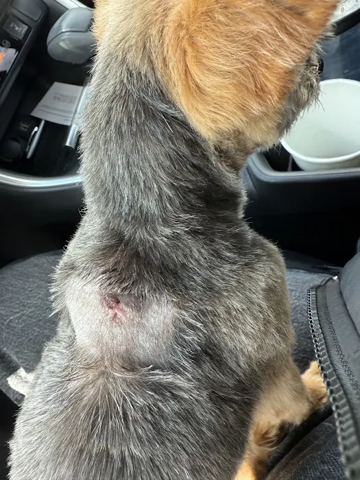 Valley View Animal Hospital Picture 8
