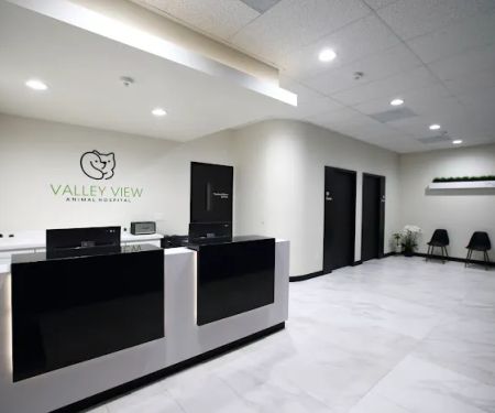 Valley View Animal Hospital
