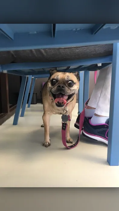 Happy Tails Animal Hospital Picture 10