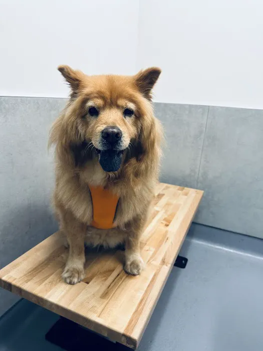 Happy Tails Animal Hospital Picture 1