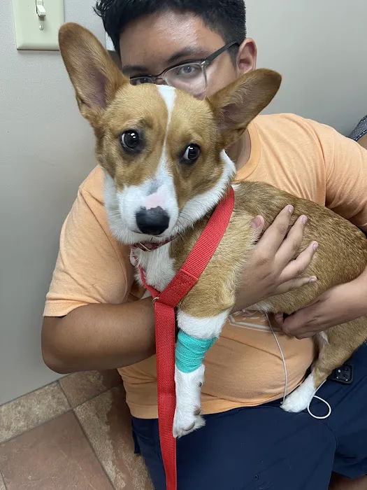 Westbury Animal Hospital Picture 9
