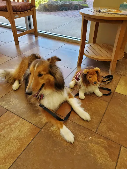 Westbury Animal Hospital Picture 1