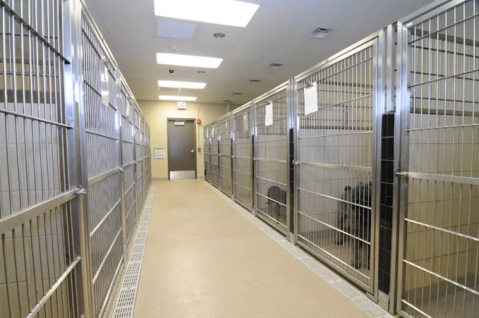 Westbury Animal Hospital Picture 6