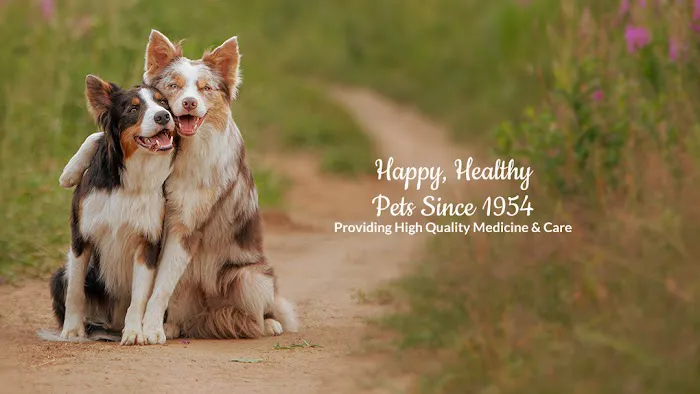 Bellaire-Richmond Pet Hospital Picture 1