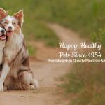 Bellaire-Richmond Pet Hospital
