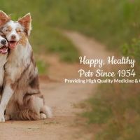 Bellaire-Richmond Pet Hospital ico