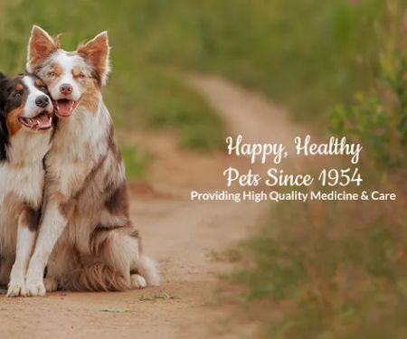 Bellaire-Richmond Pet Hospital